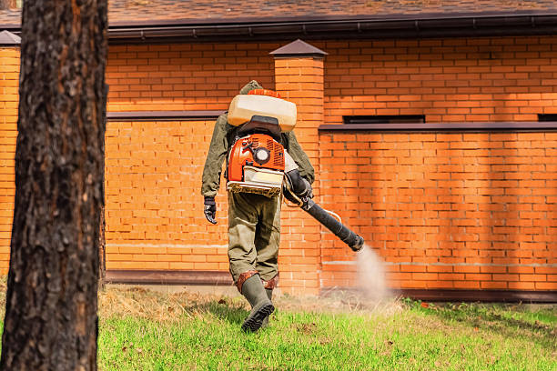 Trusted Ant Control service in Charlotte Harbor, FL - Nex Pest Control